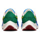 Nike Air Zoom Pegasus 38 A.I.R. Jordan Moss